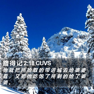路 得 记 2:18 CUVS Bible Verse Image