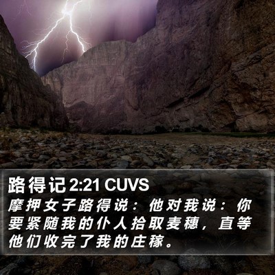 路 得 记 2:21 CUVS Bible Verse Image