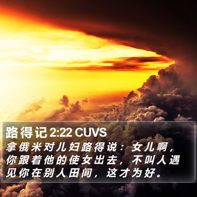 路 得 记 2:22 CUVS Bible Verse Image