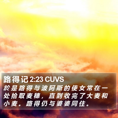 路 得 记 2:23 CUVS Bible Verse Image