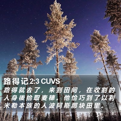 路 得 记 2:3 CUVS Bible Verse Image