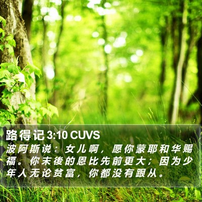 路 得 记 3:10 CUVS Bible Verse Image