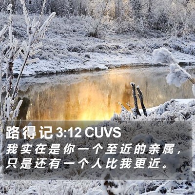 路 得 记 3:12 CUVS Bible Verse Image