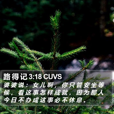 路 得 记 3:18 CUVS Bible Verse Image
