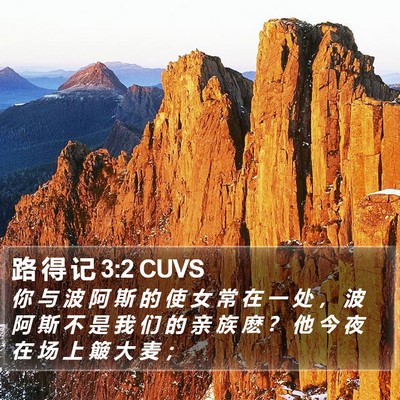 路 得 记 3:2 CUVS Bible Verse Image