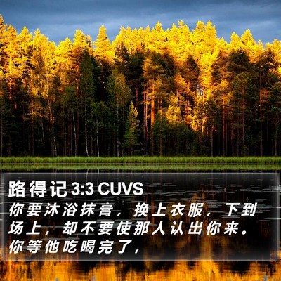 路 得 记 3:3 CUVS Bible Verse Image