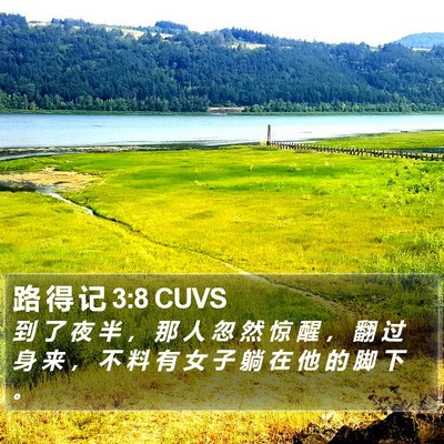 路 得 记 3:8 CUVS Bible Verse Image