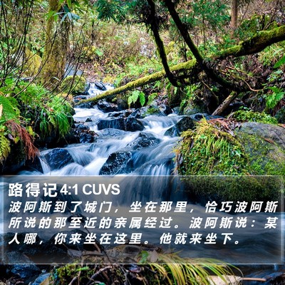 路 得 记 4:1 CUVS Bible Verse Image