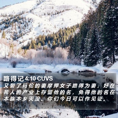 路 得 记 4:10 CUVS Bible Verse Image
