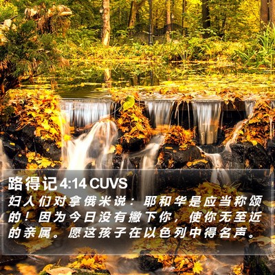 路 得 记 4:14 CUVS Bible Verse Image