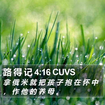 路 得 记 4:16 CUVS Bible Verse Image