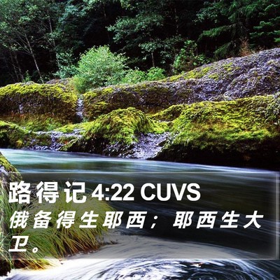 路 得 记 4:22 CUVS Bible Verse Image