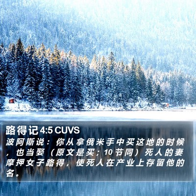 路 得 记 4:5 CUVS Bible Verse Image