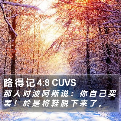 路 得 记 4:8 CUVS Bible Verse Image
