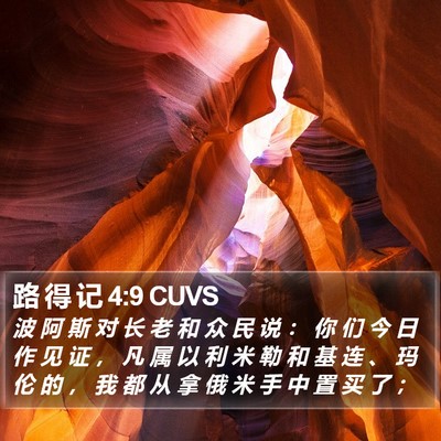 路 得 记 4:9 CUVS Bible Verse Image