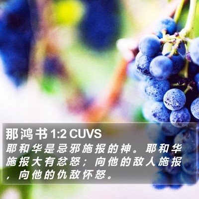 那 鸿 书 1:2 CUVS Bible Verse Image