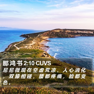 那 鸿 书 2:10 CUVS Bible Verse Image
