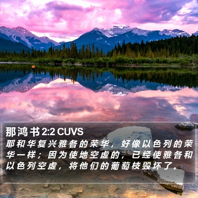 那 鸿 书 2:2 CUVS Bible Verse Image