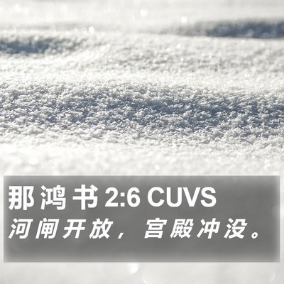 那 鸿 书 2:6 CUVS Bible Verse Image