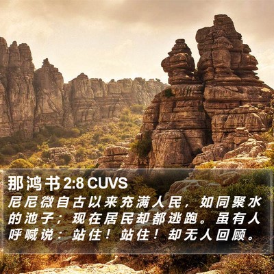 那 鸿 书 2:8 CUVS Bible Verse Image