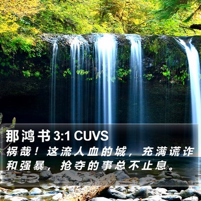 那 鸿 书 3:1 CUVS Bible Verse Image