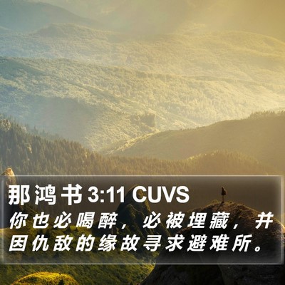 那 鸿 书 3:11 CUVS Bible Verse Image