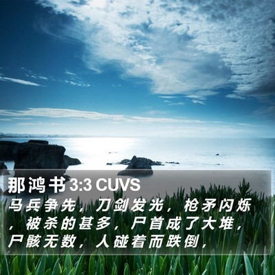 那 鸿 书 3:3 CUVS Bible Verse Image