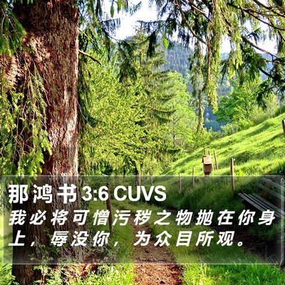 那 鸿 书 3:6 CUVS Bible Verse Image