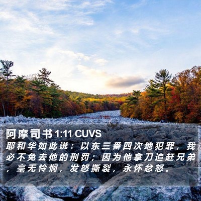 阿 摩 司 书 1:11 CUVS Bible Verse Image