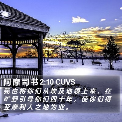 阿 摩 司 书 2:10 CUVS Bible Verse Image