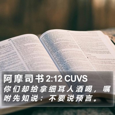 阿 摩 司 书 2:12 CUVS Bible Verse Image
