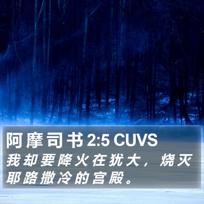 阿 摩 司 书 2:5 CUVS Bible Verse Image