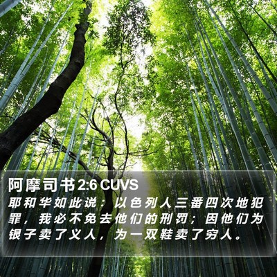 阿 摩 司 书 2:6 CUVS Bible Verse Image