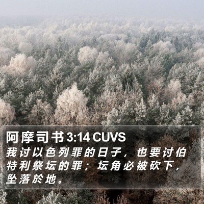 阿 摩 司 书 3:14 CUVS Bible Verse Image