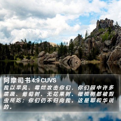 阿 摩 司 书 4:9 CUVS Bible Verse Image