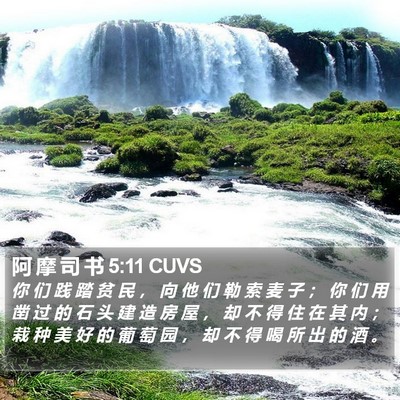 阿 摩 司 书 5:11 CUVS Bible Verse Image