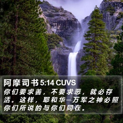 阿 摩 司 书 5:14 CUVS Bible Verse Image