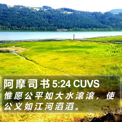 阿 摩 司 书 5:24 CUVS Bible Verse Image