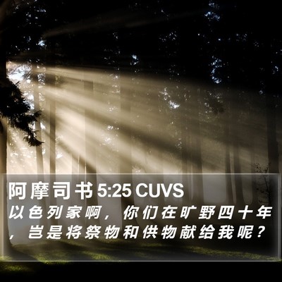 阿 摩 司 书 5:25 CUVS Bible Verse Image