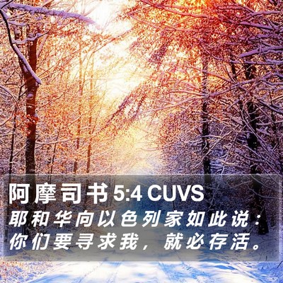 阿 摩 司 书 5:4 CUVS Bible Verse Image