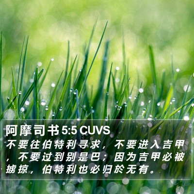阿 摩 司 书 5:5 CUVS Bible Verse Image