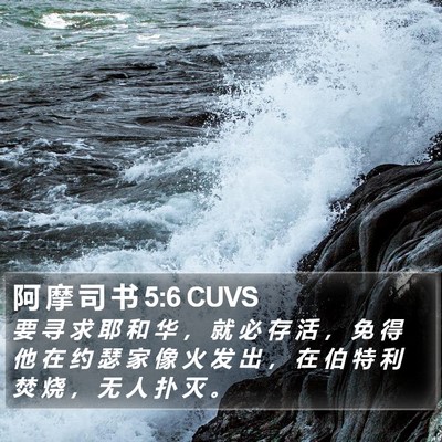 阿 摩 司 书 5:6 CUVS Bible Verse Image