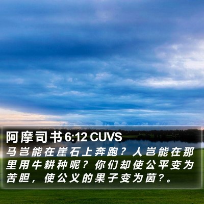 阿 摩 司 书 6:12 CUVS Bible Verse Image