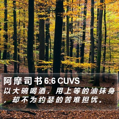 阿 摩 司 书 6:6 CUVS Bible Verse Image