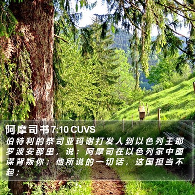 阿 摩 司 书 7:10 CUVS Bible Verse Image