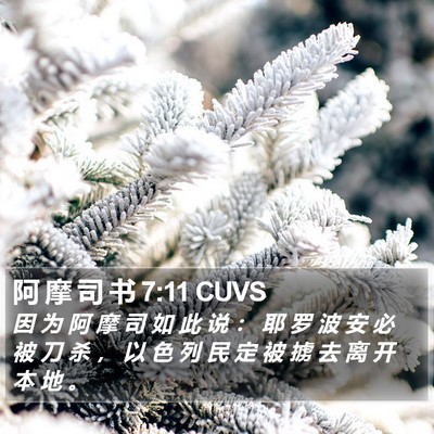 阿 摩 司 书 7:11 CUVS Bible Verse Image