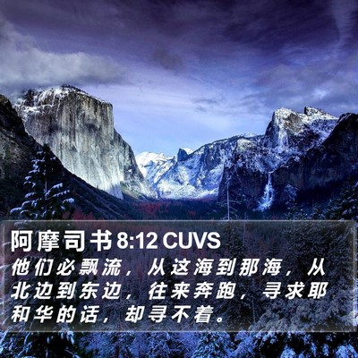阿 摩 司 书 8:12 CUVS Bible Verse Image