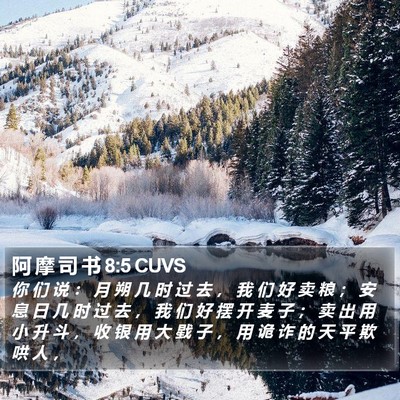 阿 摩 司 书 8:5 CUVS Bible Verse Image