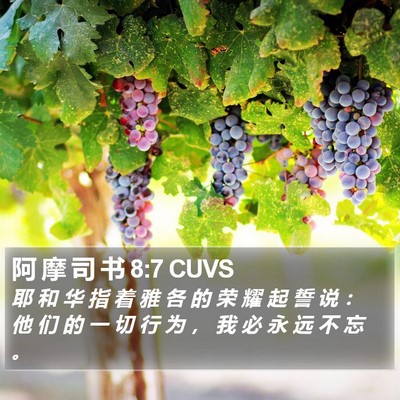 阿 摩 司 书 8:7 CUVS Bible Verse Image