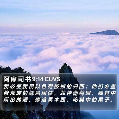 阿 摩 司 书 9:14 CUVS Bible Verse Image